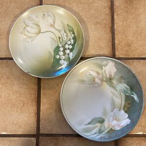 Germany hand painted plates